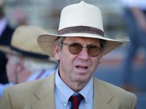 David Brideoake to face Racing NSW charges