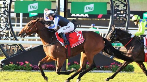 Gypsy-Goddess-e1654332005514-500x280.jpe