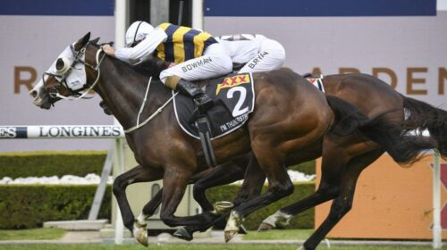 Im-Thunderstruck-BP-1024x683-1-500x280.j