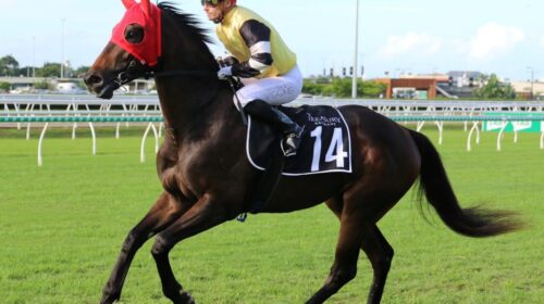 Kiplings-Journey-QLD-Guineas-1024x683-1-