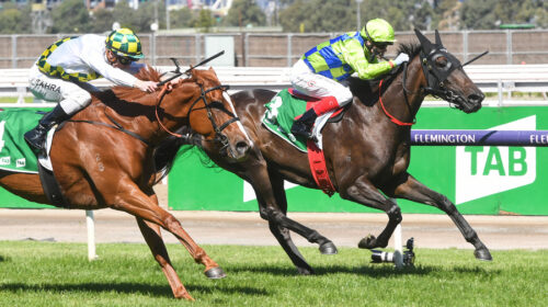 Melbourne-2022_Barb-Raider-C-Williams-Fl