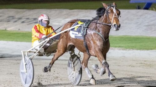 Queen-Elida-blog-image-June-2022-Melton_