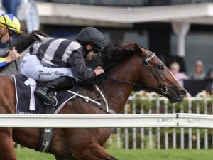 Exceedance beaten, not bowed at Rosehill