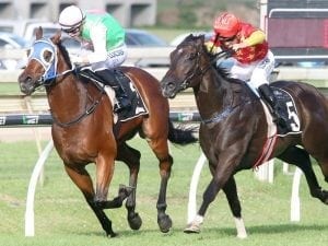 Calanda gets things to suit in Moreton Cup