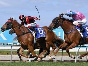 Dreams Aplenty back in form