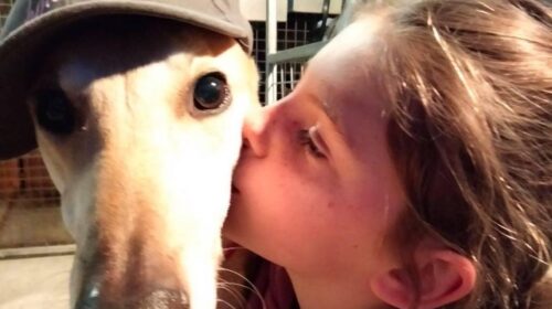 Shayden-Miss-10-Greyhound-Girl-Hat-1024x