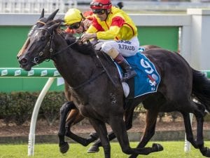 Stradbroke Hcp hoodoo for Pretty In Pink