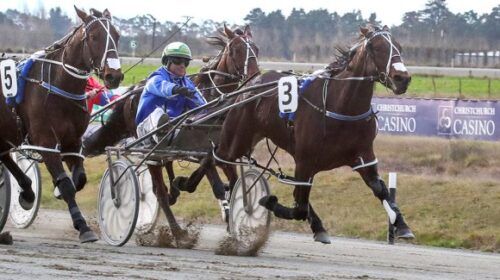 Vinke-B-blog-image-Ashburton__ResizedIma