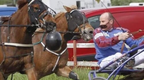 helmet-horse-blog-image-2022__ResizedIma