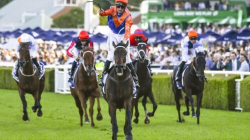 277976134_394271888887744_74595360943794