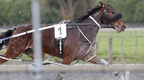 Adaline-blog-image-2022-action-shot__Res