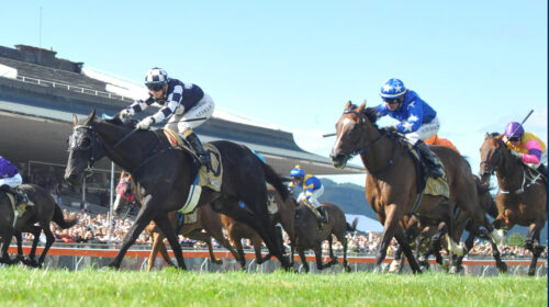 BLUEYS-CHANCE-WAISAKE-WRC-30-1-2021-RACE