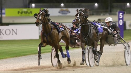 Bolt-For-Brilliance-24-Oct-Blog-v2__Resi