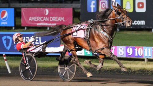 Bulldog-Hanover-blog-image-2022-world-re