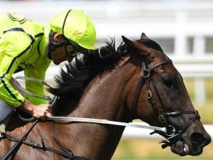 Monash Stakes return for Crack The Code
