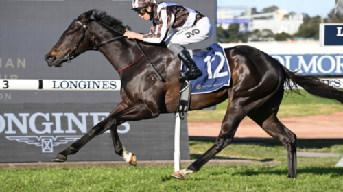 Cross-Talk-Winter-Challenge-1024x683-1-5