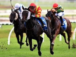 Luke Tarrant to boost Plumaro's chances