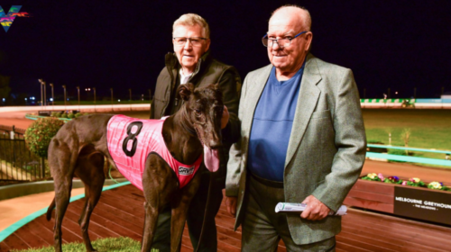 El-Dorado-post-race-without-caption-1024