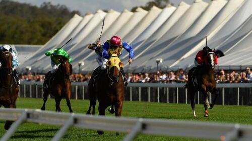 Gallops_Ipswich_4-3_18537640_2004557_202