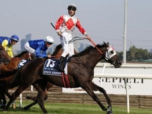 Mystic Journey to trial again at Devonport