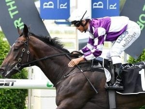 Young Gollan stars to trial at Doomben