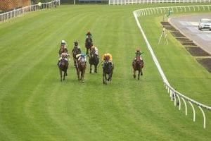 Three jockeys fall in Grafton race
