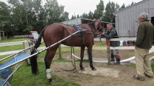 Ginger-Woodhouse-blog-image-1-2022__Resi