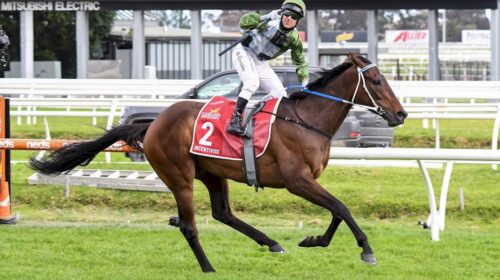 Incentivise-Caulfield-Cup-1024x683-1-500