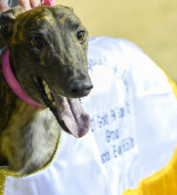 Jarick Bale is all smiles after landing his first group 1.