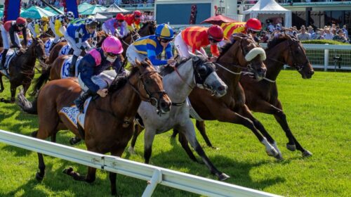 Magic-Millions-Cup-1024x683-1-500x280.jp