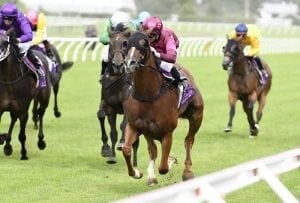 Wayward stayer on right track