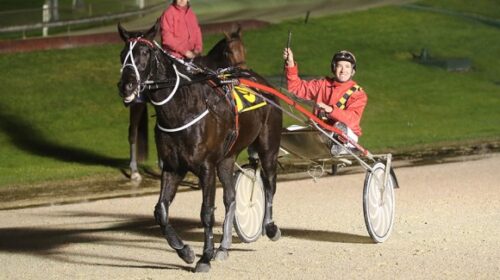 Matty-Williamson-Winning-Bones-blog-imag