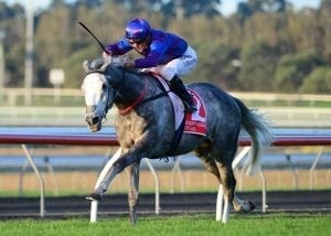 Megablast gunning for winning swansong with Tiley