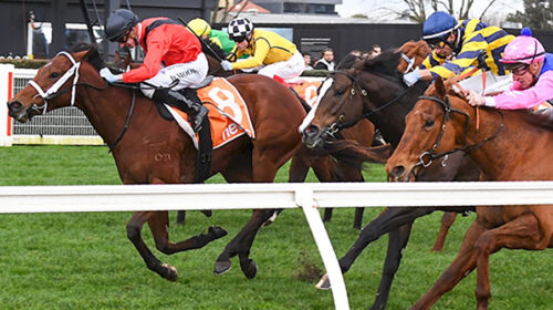 Mileva-Winning-Sir-John-Monash-Stakes-50