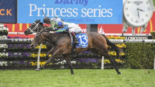 Never-Been-Kissed-G1-Flight-Stakes-Randw