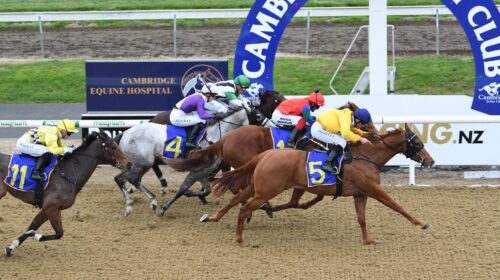 PENSARDO-Cambridge-2022-RI-scaled-1-500x