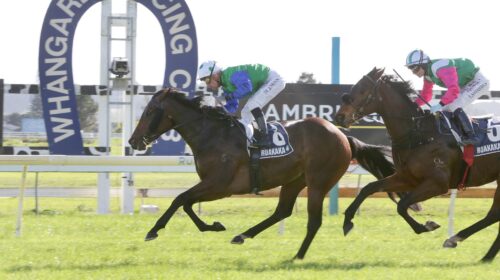 Pacific-Dragon-w-6440-scaled-1-500x280.j