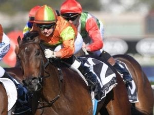 Jason Coyle splits promising stablemates