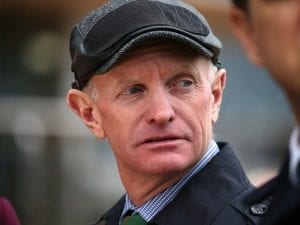 Indiscretion chasing first win at Sandown