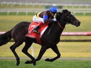 Gold Mag impressive in Sandown win