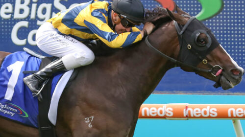 Sartorial-Splendor_20-03-2021_WIN_Mornin