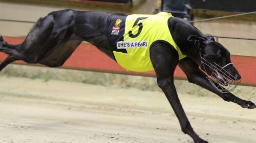 Shes-A-Pearl-Golden-Easter-Egg-1024x682-