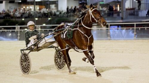 Simply-Sam-Herlihy-Alex-Park-July-2022-b