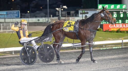 Spirit-of-St-Louis-blog-image-Wondais__R