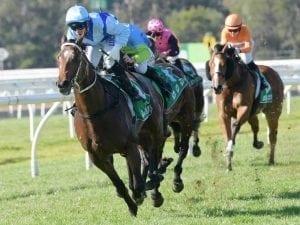 Tarka defies betting drift to win