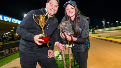 Yozo-Bale-Geelong-Cup-1024x683-1-500x280