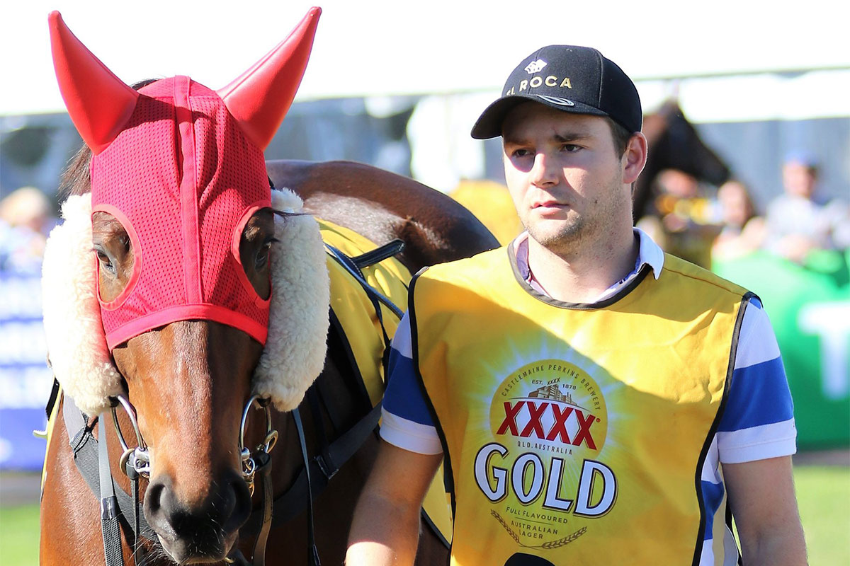 Sunshine Coast trainer Billy Healey