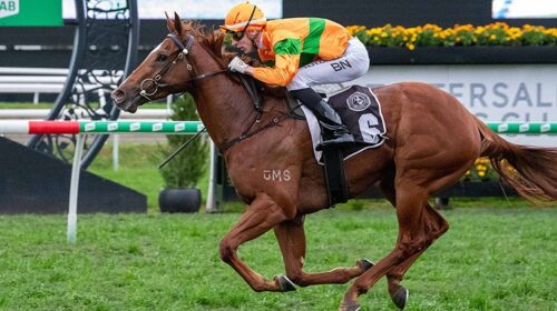 278150813_1449057622186021_7589477802200