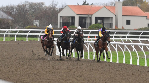 AWAPUNI-TRIALS-18-8-2022-RACE-IMAGES-PHO