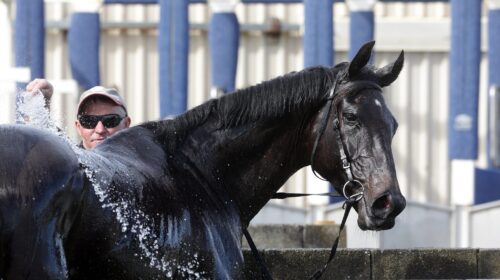 Arjays-flight-brosnan-mark-7473-scaled-1